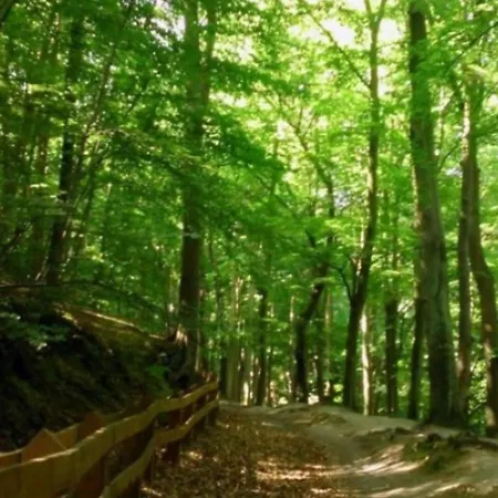 Pokój U Anny Quarto em Acomodações Particulares Gdynia