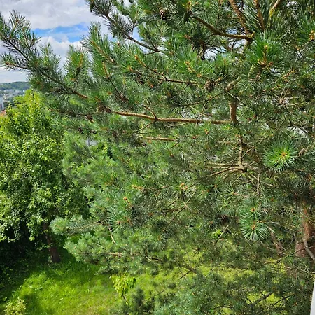 Pokój U Anny Kwatera prywatna *