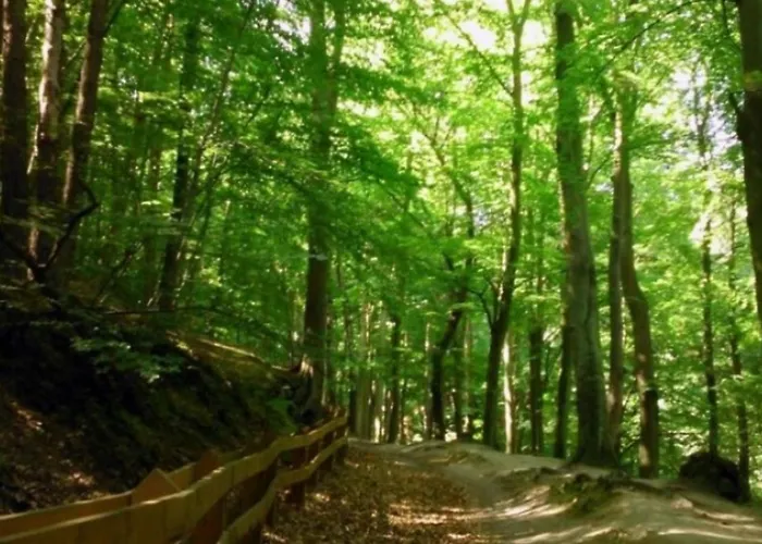 U Anny Homestay szállás Gdynia